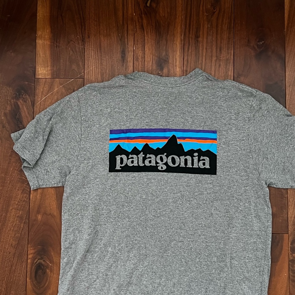 Patagonia T Shirt